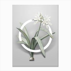 Vintage Pancratium Illyricum Minimalist Floral Geometric Circle on Soft Gray n.0276 Canvas Print