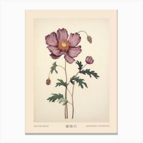 Hanaichige Japanese Anemone 1 Vintage Japanese Botanical Poster Canvas Print