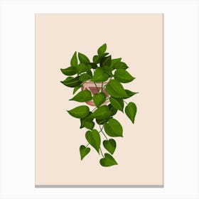 Jade Pothos Plant Canvas Print