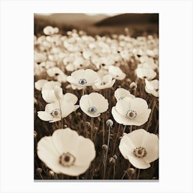 Poppy Field Canvas Print