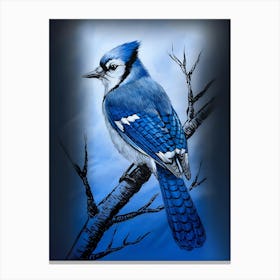 Blue Jay 3 Canvas Print