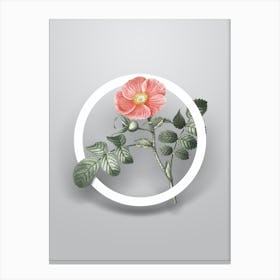 Vintage Japanese Rose Minimalist Botanical Geometric Circle on Soft Gray n.0346 Canvas Print