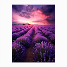 Lavender Field At Sunset 4 Canvas Print