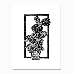 Fiddle Fig Leaf Canvas Print