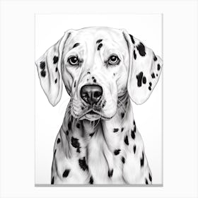Dalmatian Dog, Line Drawing 2 Canvas Print