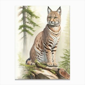 Bobcat 1 Canvas Print