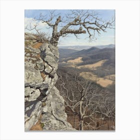 Rocky Ledge Canvas Print