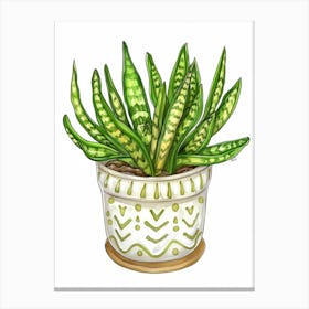 Snake Plant In A Pot Canvas Print