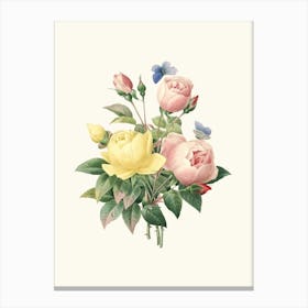 Antique Vintage Flower Illustration - Roses Pink Yellow Canvas Print