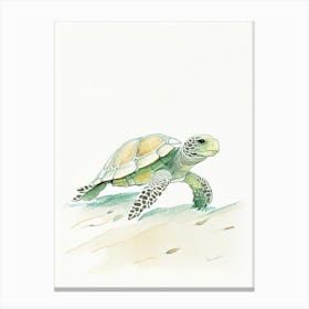Foraging Sea Turtle, Sea Turtle Pencil Illustration 1 Canvas Print