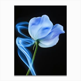 Blue Flower With Smoke Canvas Print