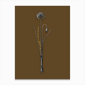 Vintage Autumn Onion Black and White Gold Leaf Floral Art on Coffee Brown n.0004 Canvas Print