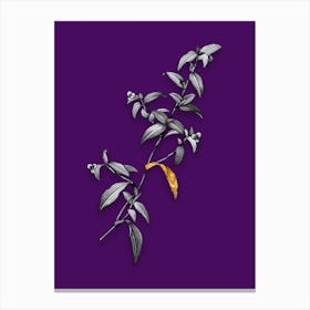 Vintage Birdbill Dayflower Black and White Gold Leaf Floral Art on Deep Violet n.0178 Canvas Print