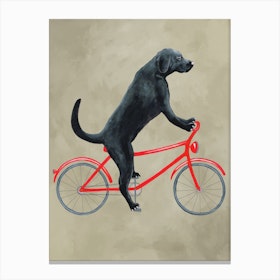 Black Labrador On Bicycle Canvas Print