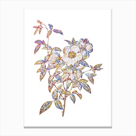 Stained Glass White Rose of Snow Mosaic Botanical Illustration on White n.0103 Canvas Print