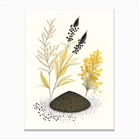 Black Mustard Seeds Spices And Herbs Pencil Illustration 3 Canvas Print