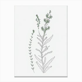 Eyebright Herb William Morris Inspired Line Drawing 2 Canvas Print