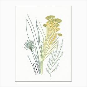 Fennel Seed Spices And Herbs Minimal Line Drawing 4 Canvas Print