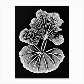 Nasturtium Leaf Linocut 1 Canvas Print