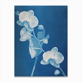 Floral II Canvas Print