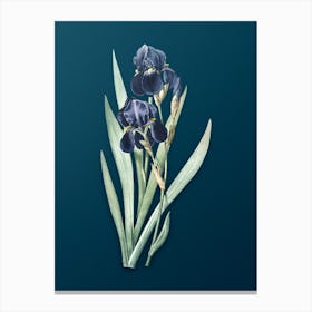 Vintage German Iris Botanical Art on Teal Blue Canvas Print