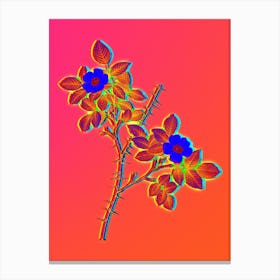 Neon Spiny Leaved Rose of Dematra Botanical in Hot Pink and Electric Blue Canvas Print