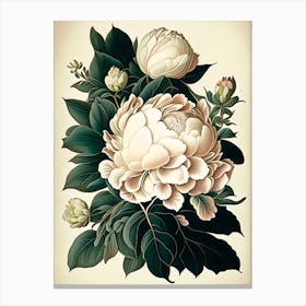 Gardenia Peonies Cream Vintage Botanical Canvas Print