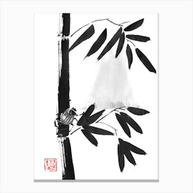 Beetle And Bamboo Canvas Print