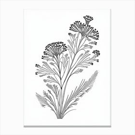 Caraway Herb William Morris Inspired Line Drawing 3 Canvas Print