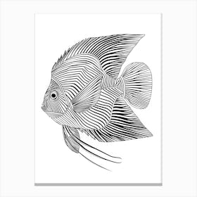 Angelfish animal lines art Canvas Print