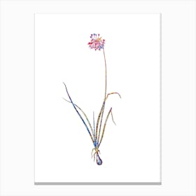 Stained Glass Nodding Onion Mosaic Botanical Illustration on White Canvas Print