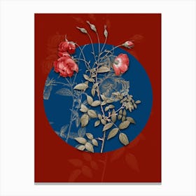 Vintage Botanical Red Rose on Circle Blue on Red n.0190 Canvas Print