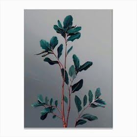 Eucalyptus 2 Canvas Print