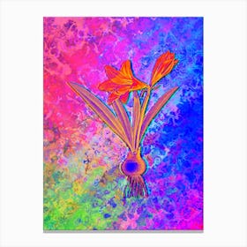 Hippeastrum Botanical in Acid Neon Pink Green and Blue Canvas Print