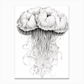 Lions Mane Jellyfish Drawing4 Canvas Print