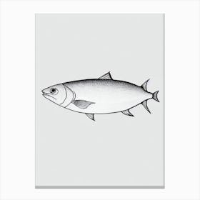 Unicornfish Black & White Drawing Canvas Print