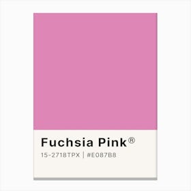 Fuschia Pink Canvas Print