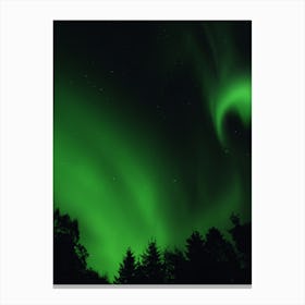 The Northern Lights 05 Canvas Print