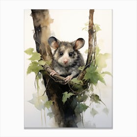 Adorable Chubby Acrobatic Possum 3 Canvas Print