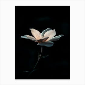 Dark Flower 9 Canvas Print