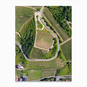 Aerial View Of Vineyards In Slovakia Canvas Print