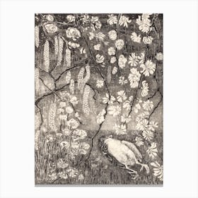Dead Bird Under Hazel And Honeysuckle Branches (1905), Theo Van Hoytema Canvas Print