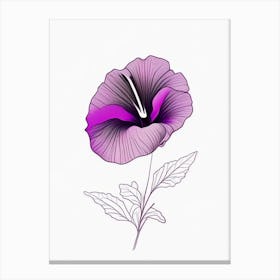 Petunia Floral Minimal Line Drawing 3 Flower Canvas Print