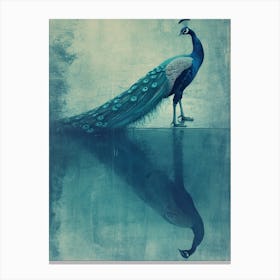 Turquoise Cyanotype Inspired Peacock & Reflection Canvas Print