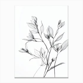 Black And White Drawing Of Flowers 1 Canvas Print