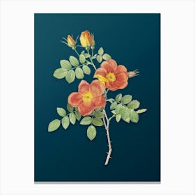 Vintage Austrian Briar Rose Botanical Art on Teal Blue n.0726 Canvas Print