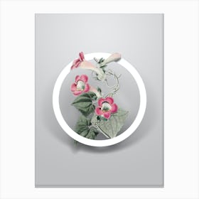 Vintage Lophospermum Flower Minimalist Flower Geometric Circle On Soft Gray Canvas Print
