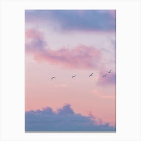 Pink Sky Canvas Print