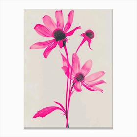 Hot Pink Black Eyed Susan Canvas Print