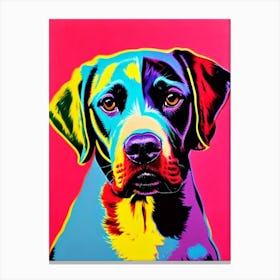 American Water Spaniel Andy Warhol Style dog Canvas Print